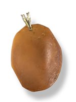 Pendente Mandile 1922 Donna Cammei  in Argento Conchiglia 2MCICM56 - 2MCICM56